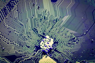 解碼張江創(chuàng)新密碼 從2018上海科技進(jìn)步報(bào)告看軟件開發(fā)的奮進(jìn)足音